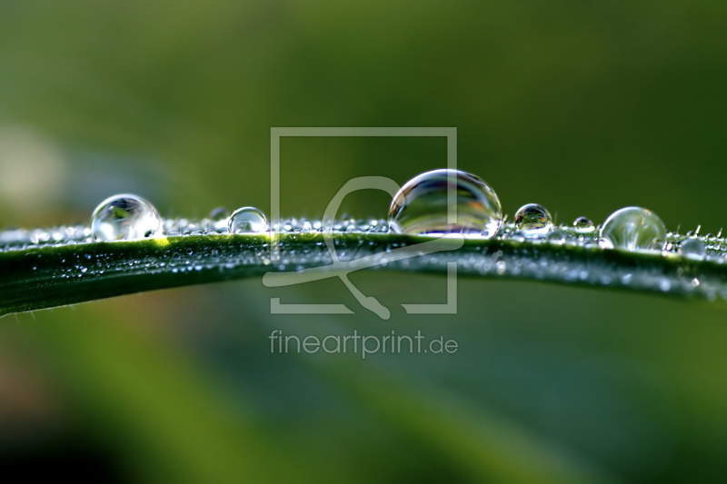 frei wählbarer Bildausschnitt für Ihr Bild auf Tasse