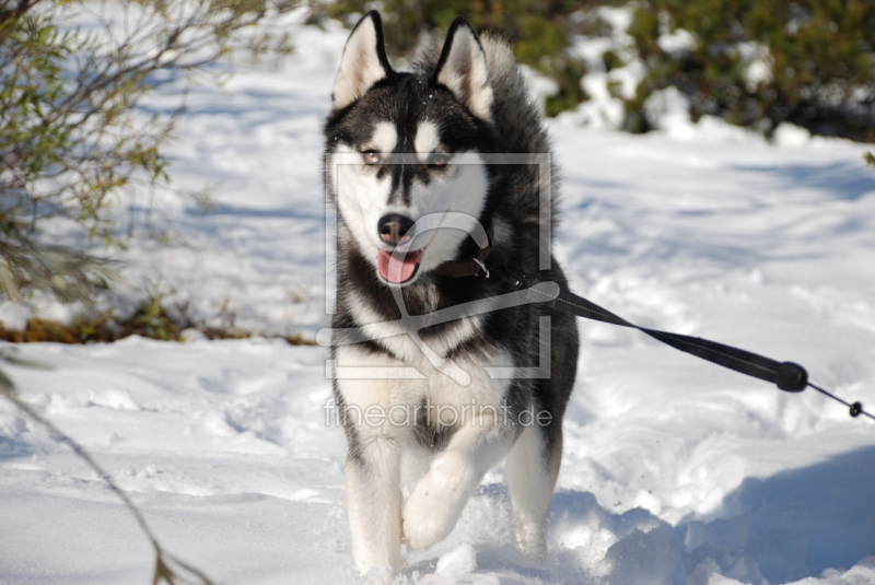 frei wählbarer Bildausschnitt für Ihr Bild auf Tasse