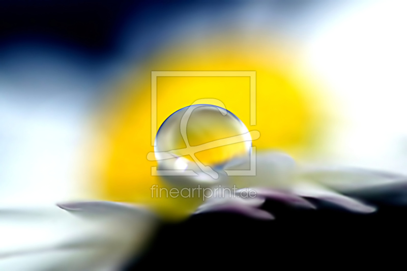 frei wählbarer Bildausschnitt für Ihr Bild auf Tasse