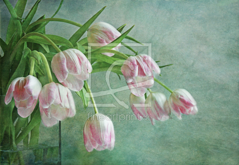 frei wählbarer Bildausschnitt für Ihr Bild auf Tasse