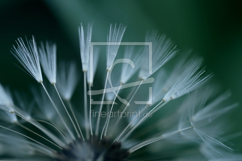 frei w&auml;hlbarer Bildausschnitt f&uuml;r Ihr Bild auf Tasse