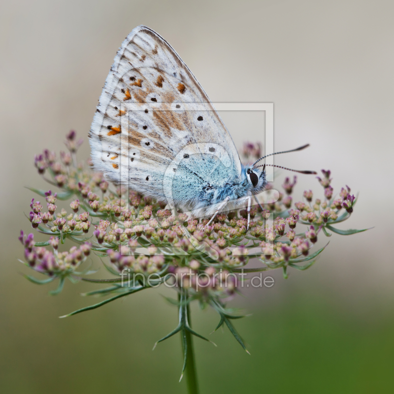 frei w&auml;hlbarer Bildausschnitt f&uuml;r Ihr Bild auf Tasse