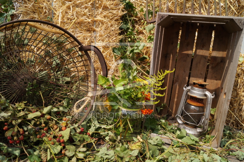 frei wählbarer Bildausschnitt für Ihr Bild auf Tasse