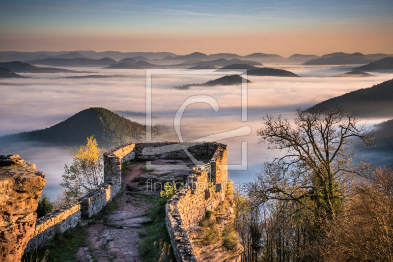 frei w&auml;hlbarer Bildausschnitt f&uuml;r Ihr Bild auf Tasse