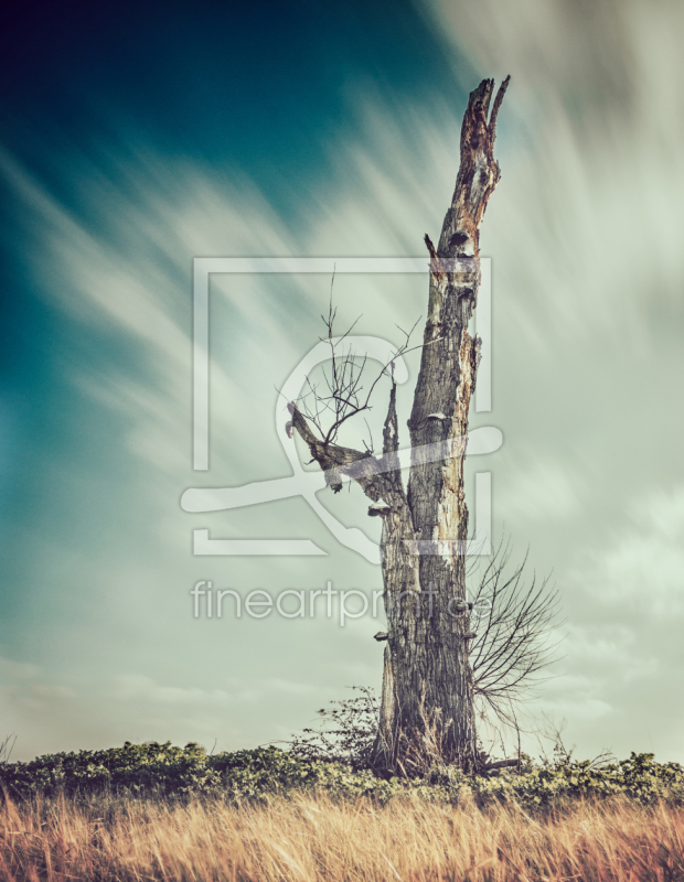 frei wählbarer Bildausschnitt für Ihr Bild auf Tasse