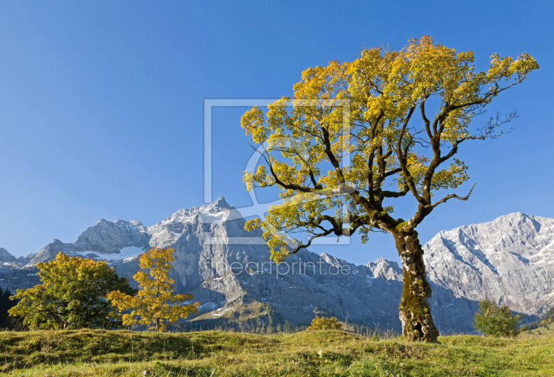 frei wählbarer Bildausschnitt für Ihr Bild auf Tasse