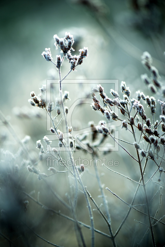 frei wählbarer Bildausschnitt für Ihr Bild auf Tasse