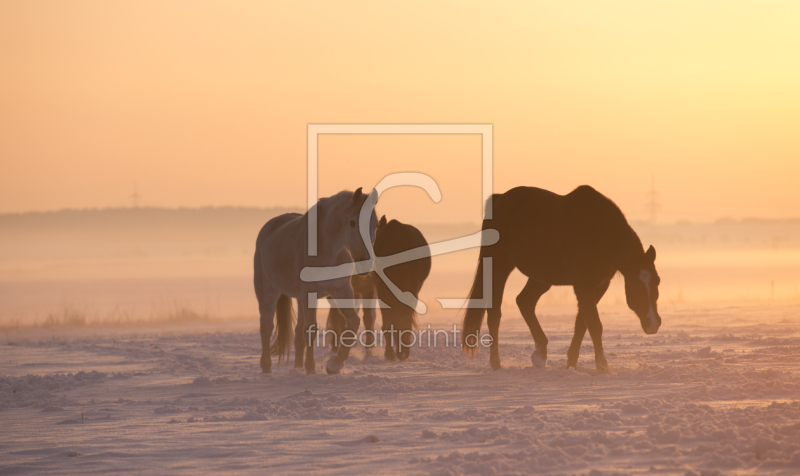frei w&auml;hlbarer Bildausschnitt f&uuml;r Ihr Bild auf Tasse