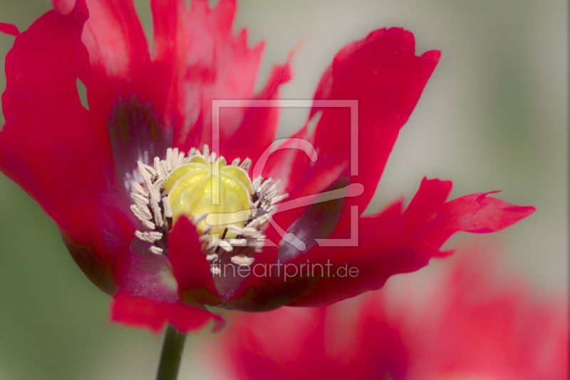 frei w&auml;hlbarer Bildausschnitt f&uuml;r Ihr Bild auf Tasse