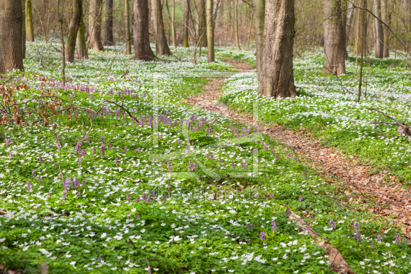 frei w&auml;hlbarer Bildausschnitt f&uuml;r Ihr Bild auf Tasse
