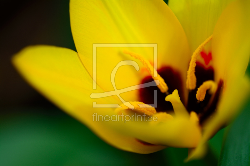 frei w&auml;hlbarer Bildausschnitt f&uuml;r Ihr Bild auf Tasse