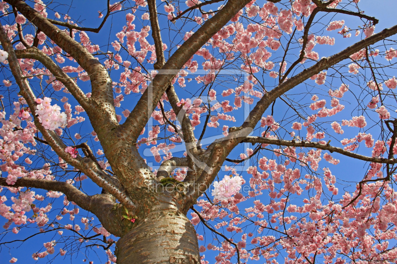 frei w&auml;hlbarer Bildausschnitt f&uuml;r Ihr Bild auf Tasse