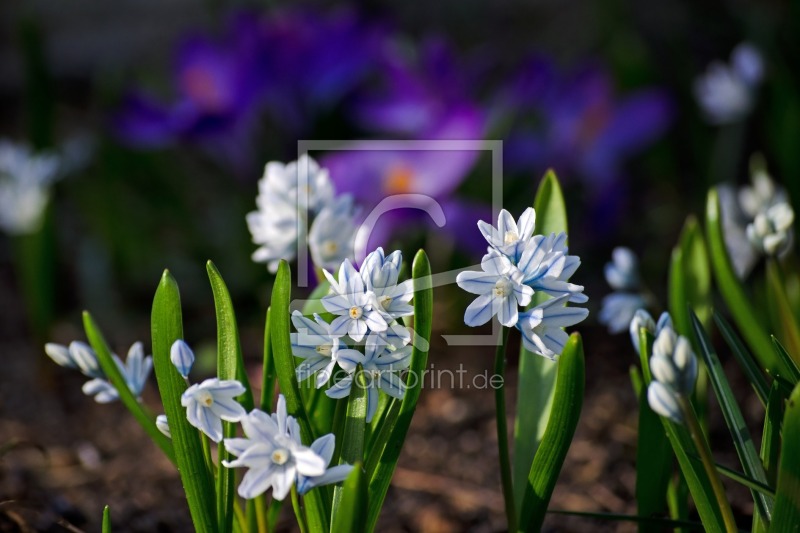 frei w&auml;hlbarer Bildausschnitt f&uuml;r Ihr Bild auf Tasse