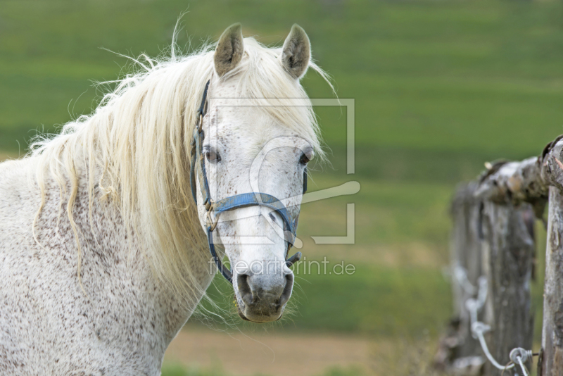 frei w&auml;hlbarer Bildausschnitt f&uuml;r Ihr Bild auf Tasse