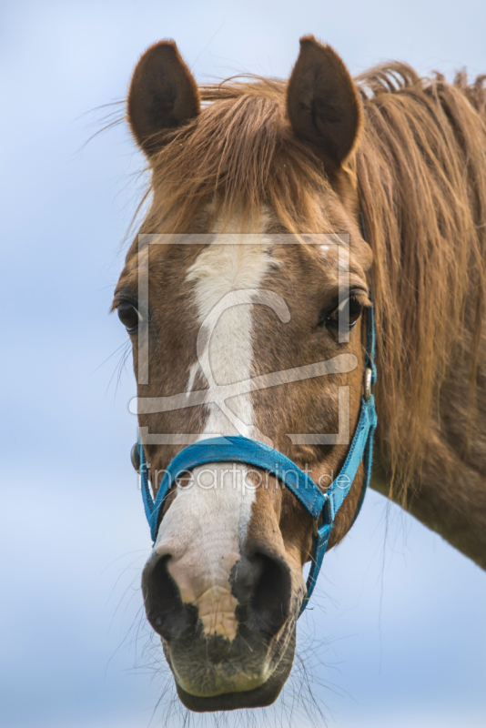 frei w&auml;hlbarer Bildausschnitt f&uuml;r Ihr Bild auf Tasse