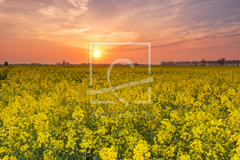 frei wählbarer Bildausschnitt für Ihr Bild auf Tasse