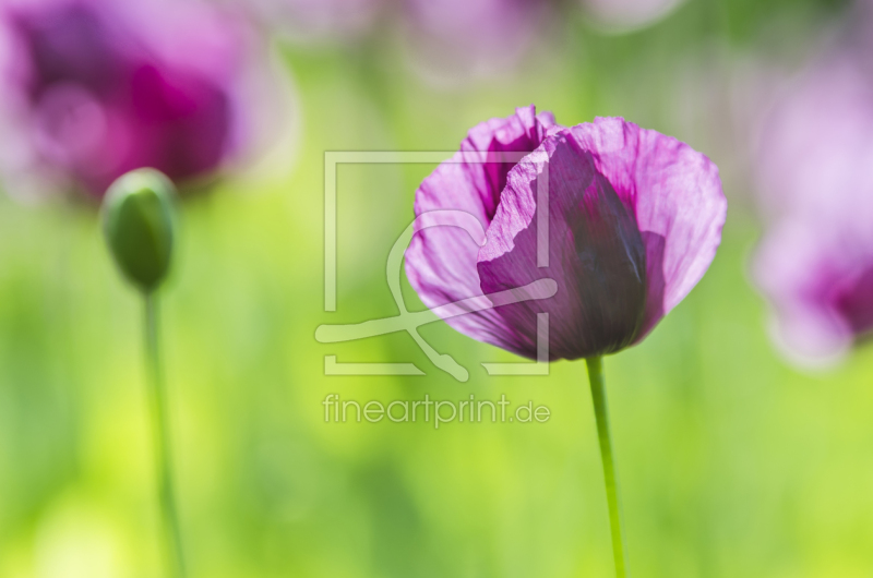 frei wählbarer Bildausschnitt für Ihr Bild auf Tasse