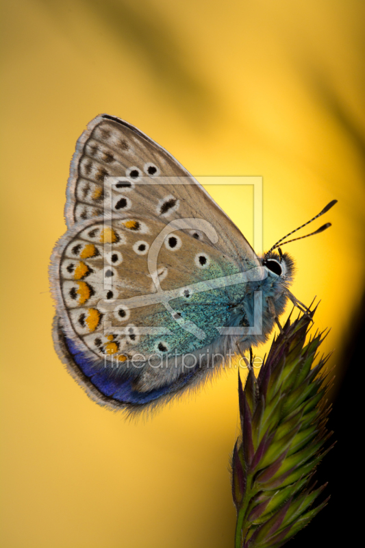 frei w&auml;hlbarer Bildausschnitt f&uuml;r Ihr Bild auf Tasse