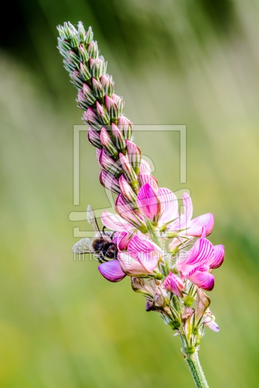 frei w&auml;hlbarer Bildausschnitt f&uuml;r Ihr Bild auf Tasse