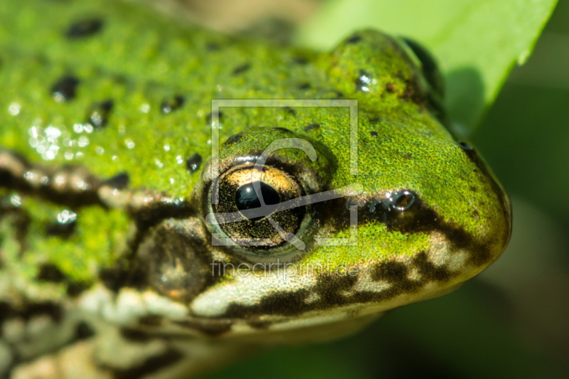 frei w&auml;hlbarer Bildausschnitt f&uuml;r Ihr Bild auf Tasse
