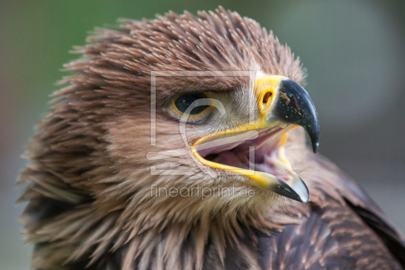 frei w&auml;hlbarer Bildausschnitt f&uuml;r Ihr Bild auf Tasse