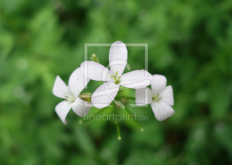 frei w&auml;hlbarer Bildausschnitt f&uuml;r Ihr Bild auf Tasse