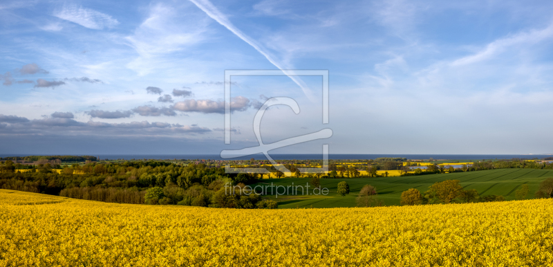 frei wählbarer Bildausschnitt für Ihr Bild auf Tasse