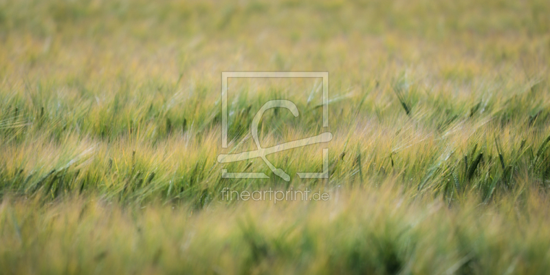 frei wählbarer Bildausschnitt für Ihr Bild auf Tasse