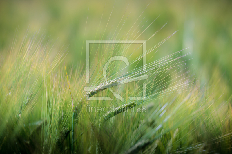 frei wählbarer Bildausschnitt für Ihr Bild auf Tasse