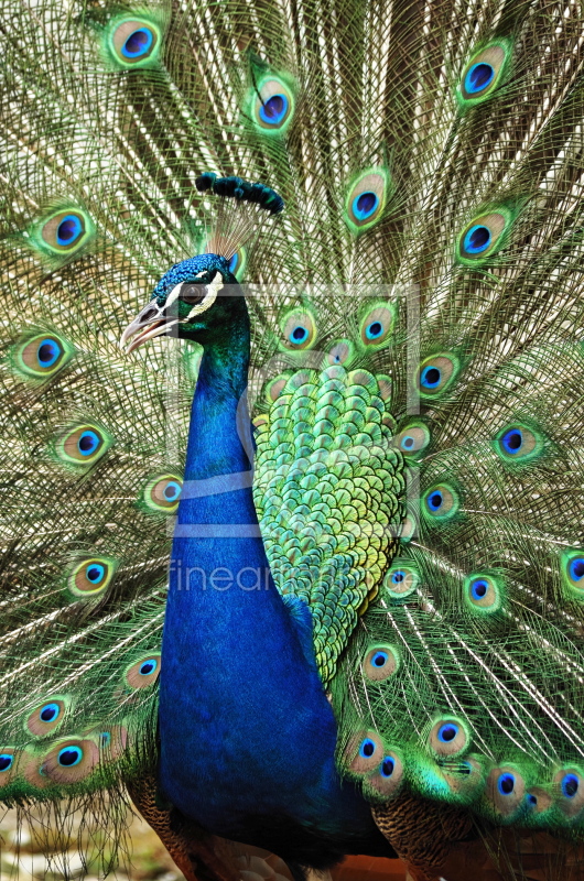 frei wählbarer Bildausschnitt für Ihr Bild auf Tasse