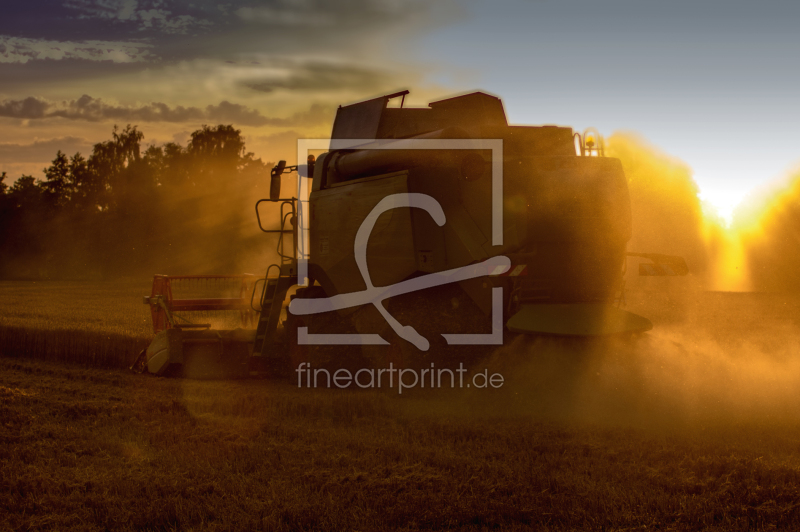 frei wählbarer Bildausschnitt für Ihr Bild auf Tasse