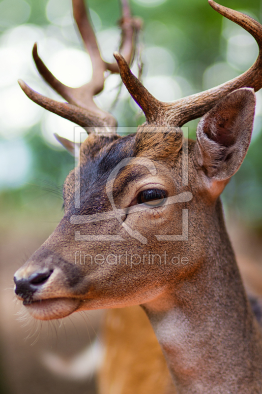 frei w&auml;hlbarer Bildausschnitt f&uuml;r Ihr Bild auf Tasse