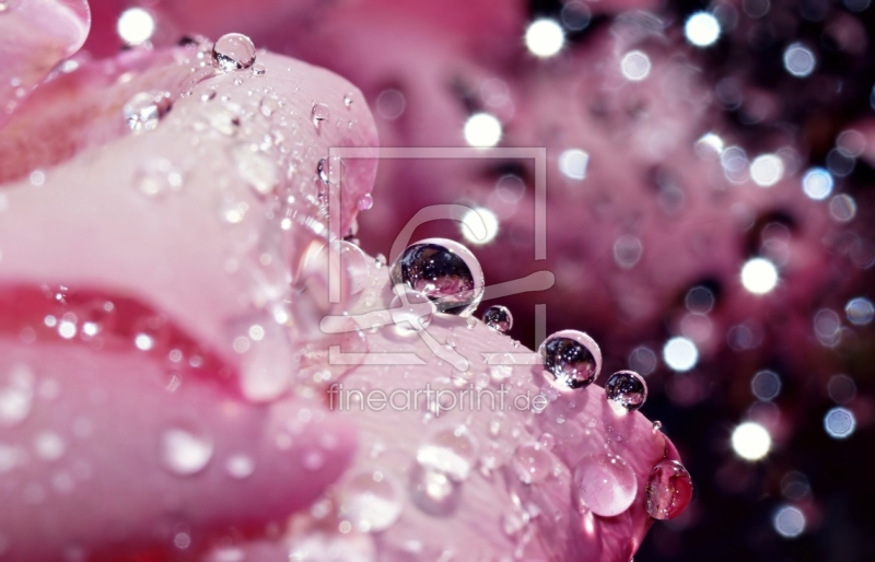 frei wählbarer Bildausschnitt für Ihr Bild auf Tasse