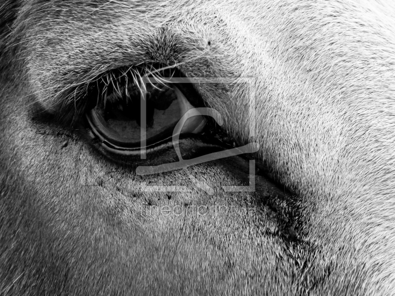 frei w&auml;hlbarer Bildausschnitt f&uuml;r Ihr Bild auf Tasse