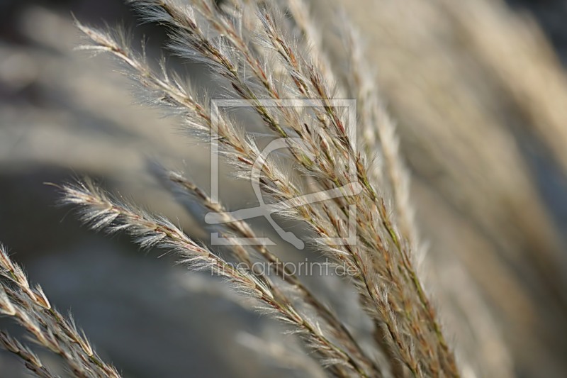 frei wählbarer Bildausschnitt für Ihr Bild auf Tasse