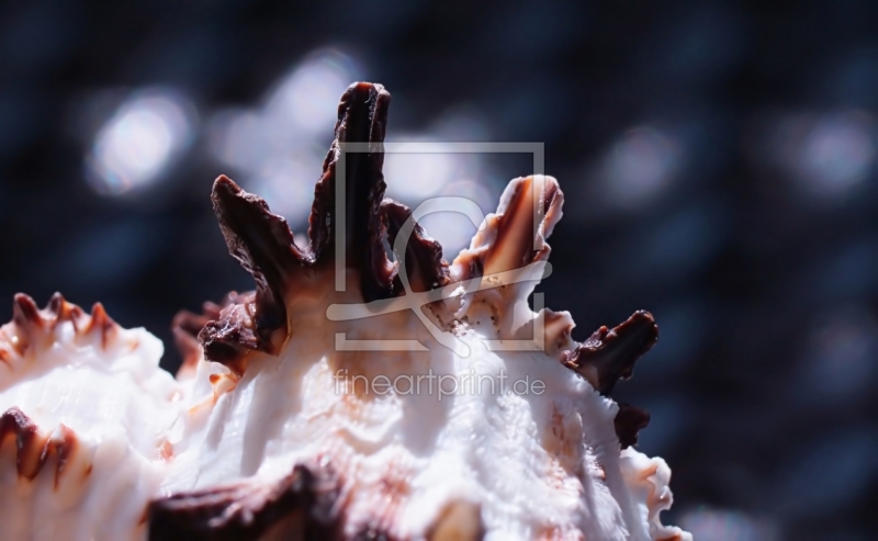 frei w&auml;hlbarer Bildausschnitt f&uuml;r Ihr Bild auf Tasse