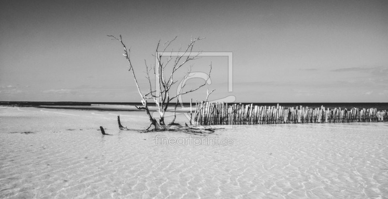frei w&auml;hlbarer Bildausschnitt f&uuml;r Ihr Bild auf Tasse