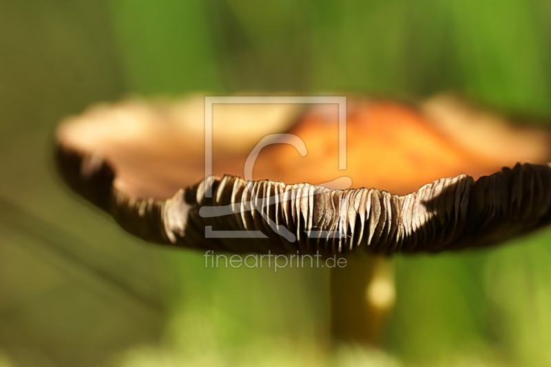 frei wählbarer Bildausschnitt für Ihr Bild auf Tasse