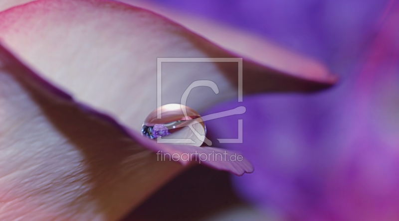 frei w&auml;hlbarer Bildausschnitt f&uuml;r Ihr Bild auf Tasse