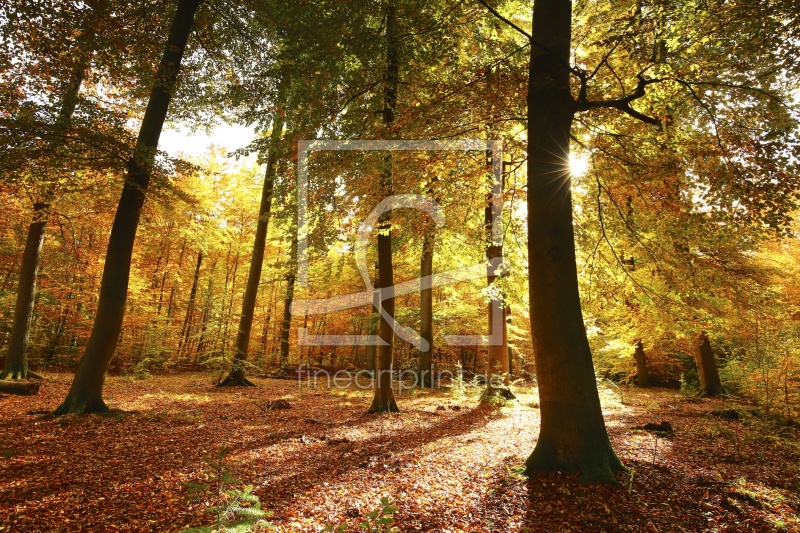 frei wählbarer Bildausschnitt für Ihr Bild auf Tasse