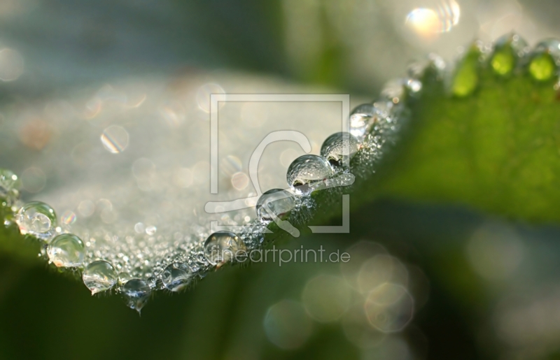 frei w&auml;hlbarer Bildausschnitt f&uuml;r Ihr Bild auf Tasse