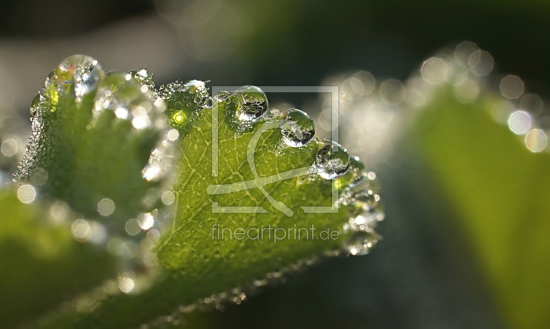 frei w&auml;hlbarer Bildausschnitt f&uuml;r Ihr Bild auf Tasse