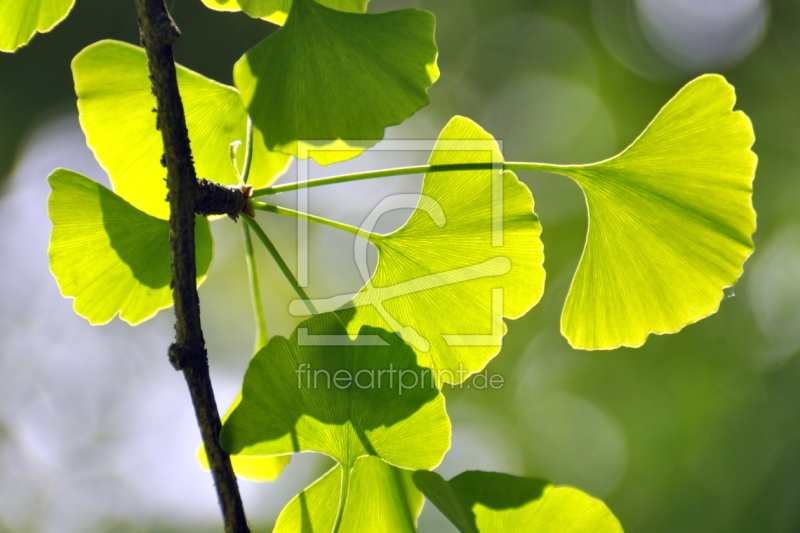 frei wählbarer Bildausschnitt für Ihr Bild auf Tasse