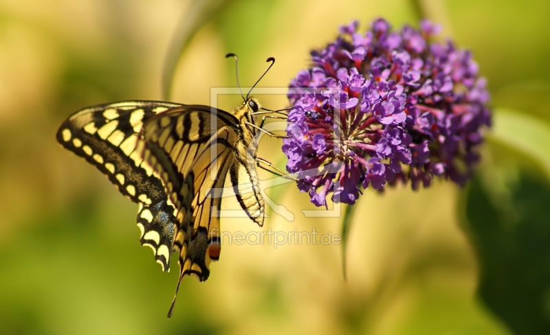 frei wählbarer Bildausschnitt für Ihr Bild auf Tasse