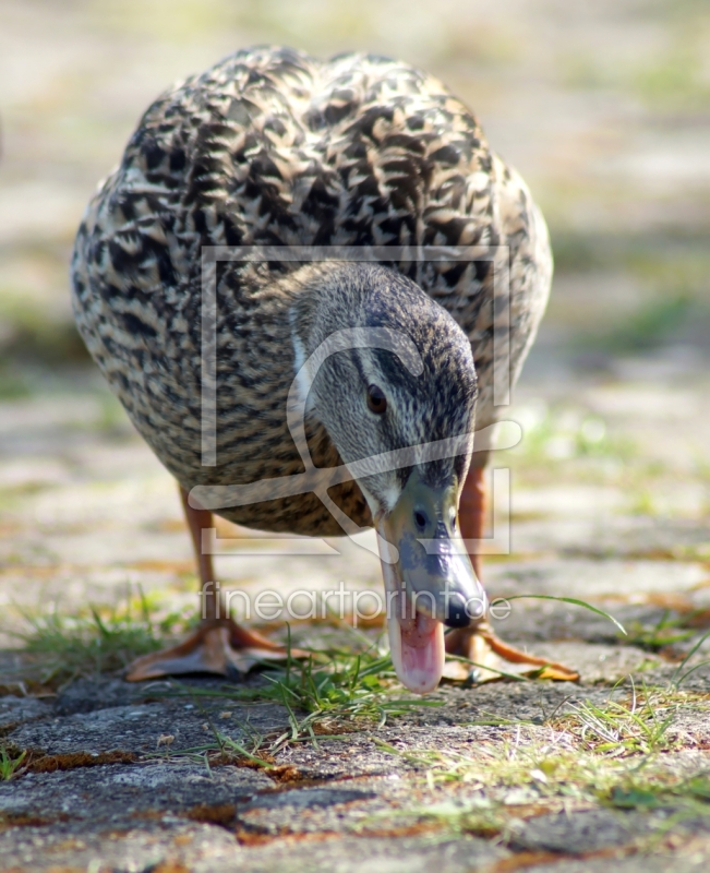 frei wählbarer Bildausschnitt für Ihr Bild auf Tasse