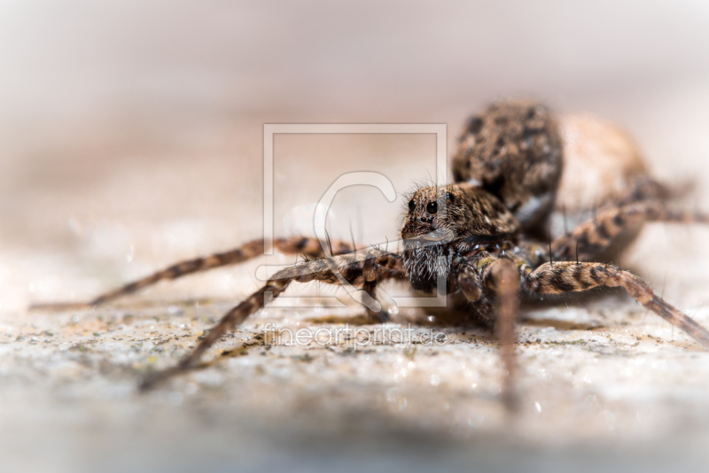 frei w&auml;hlbarer Bildausschnitt f&uuml;r Ihr Bild auf Tasse