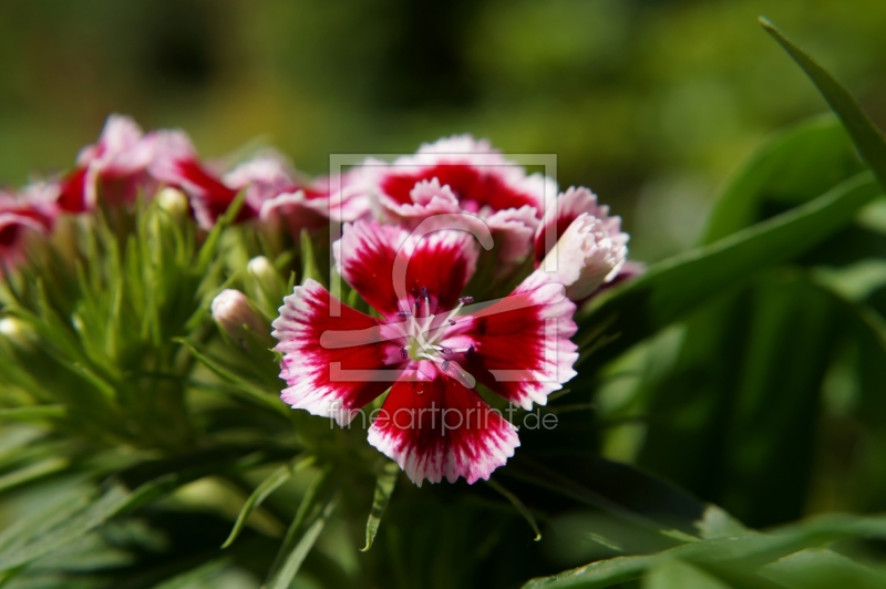 frei wählbarer Bildausschnitt für Ihr Bild auf Tasse