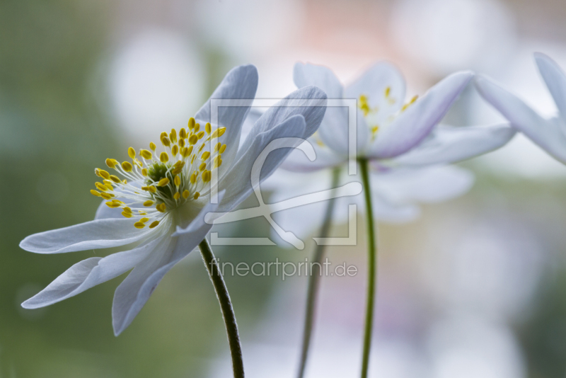 frei wählbarer Bildausschnitt für Ihr Bild auf Tasse
