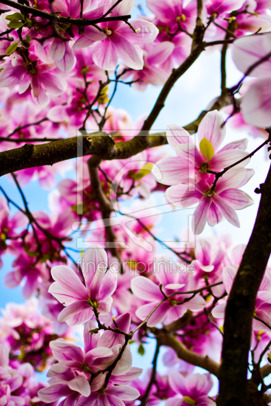 frei w&auml;hlbarer Bildausschnitt f&uuml;r Ihr Bild auf Tasse