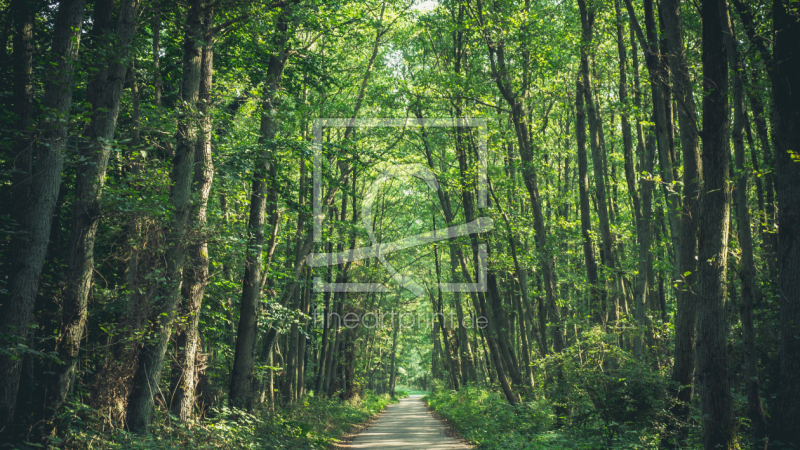 frei w&auml;hlbarer Bildausschnitt f&uuml;r Ihr Bild auf Tasse